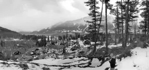 Design Studio - Pinewood Project | Daintree Industries