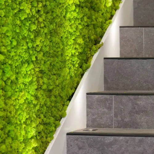 Daintree Design Studio - GFL project