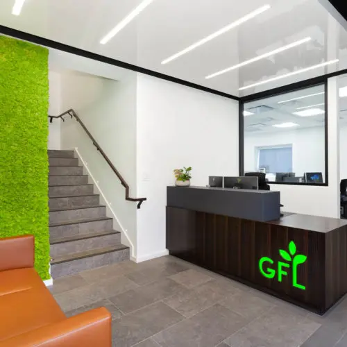 Daintree Design Studio - GFL project