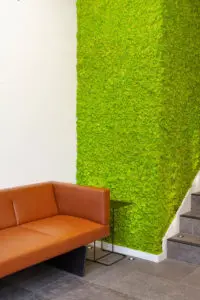 Daintree Design Studio - GFL project