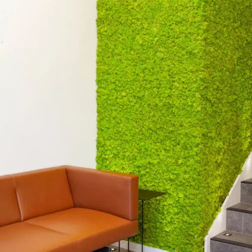 Daintree Design Studio - GFL project