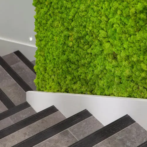 Daintree Design Studio - GFL project