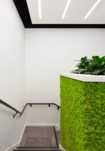 Daintree Design Studio - GFL project