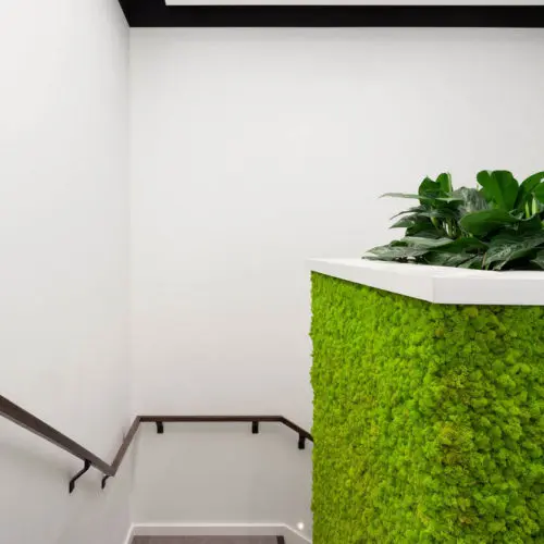 Daintree Design Studio - GFL project