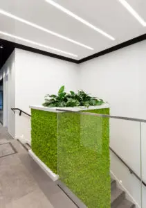 Daintree Design Studio - GFL project