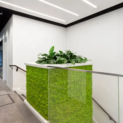 Daintree Design Studio - GFL project