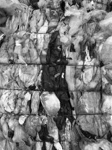 Design Studio - GFL Project | Daintree Industries